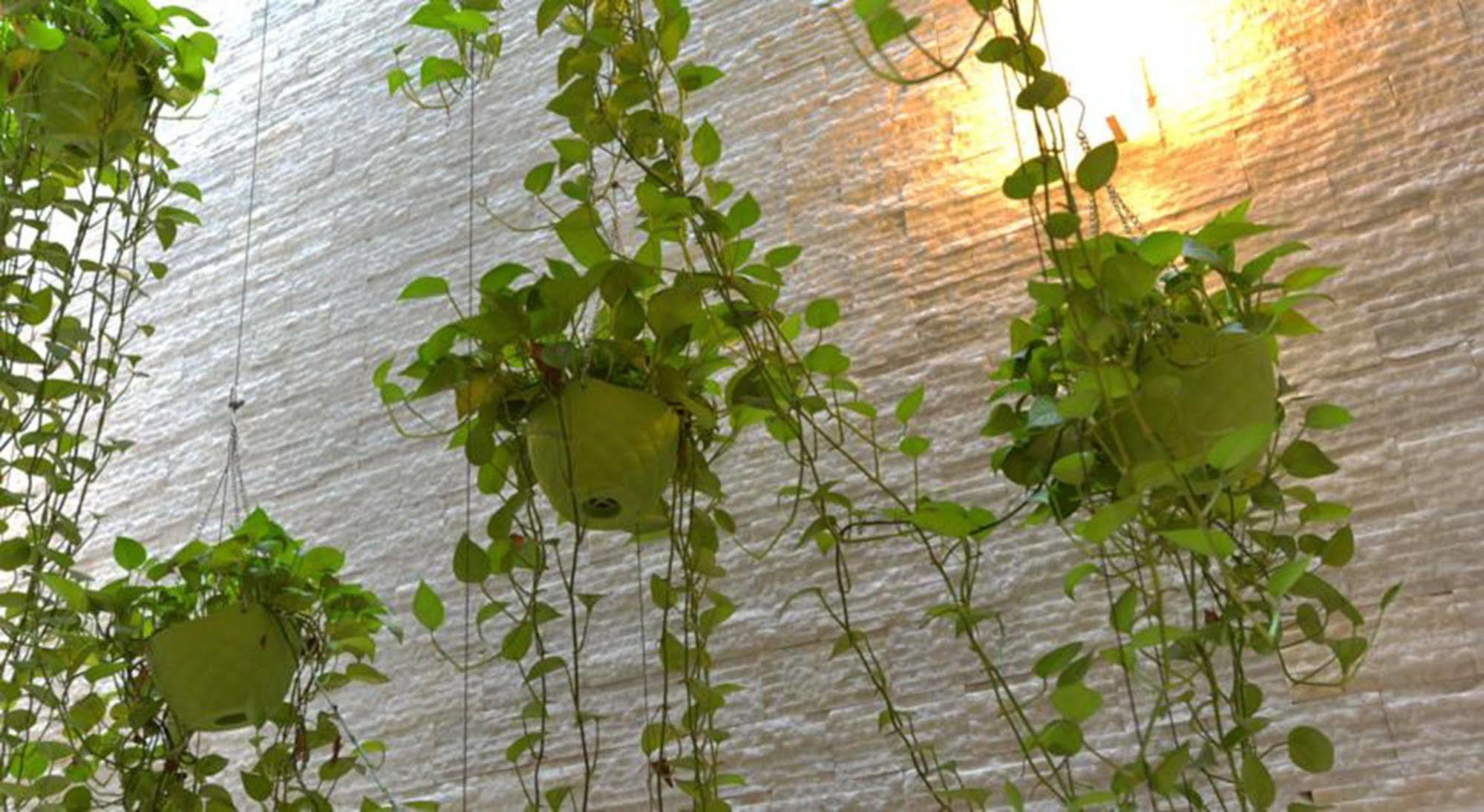 Hanoi Glance Hotel Dış mekan fotoğraf
